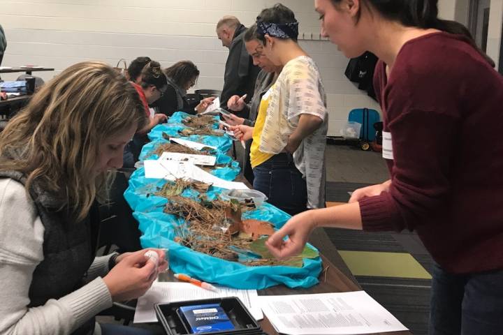 Alumni educators present water quality and corn fermentation activities