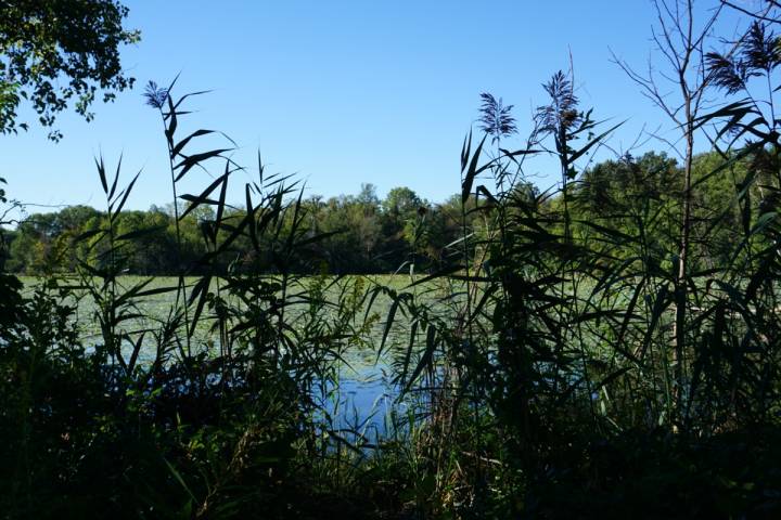 Educating others about improving water quality