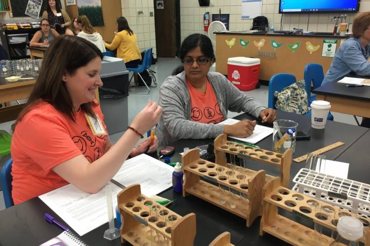 Feed the World 2019 workshop engages new teachers