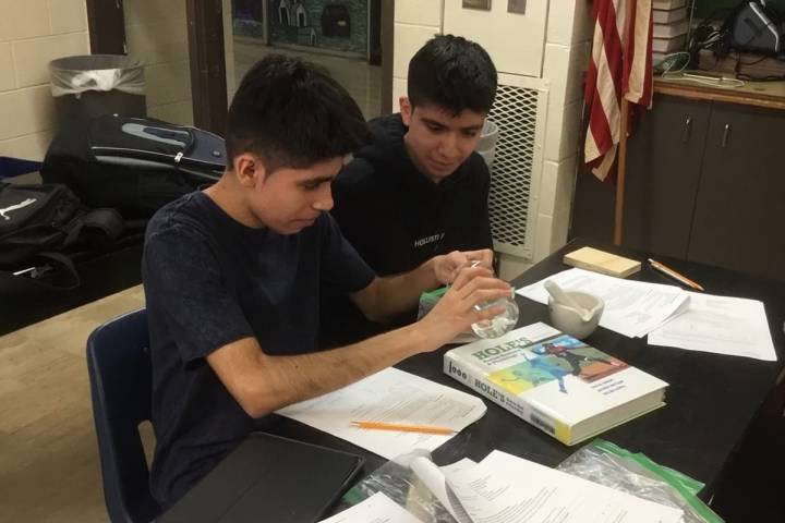 Fermentation and careers