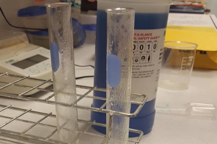 Nutrient testing for a science fair project
