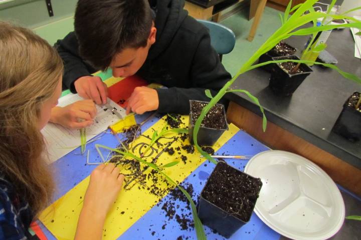 Planning ahead pays off with corn lesson