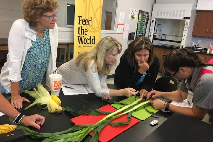 Springfield Feed the World workshop a great success!