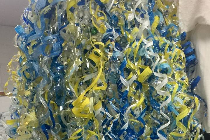 Studying water quality and creating art