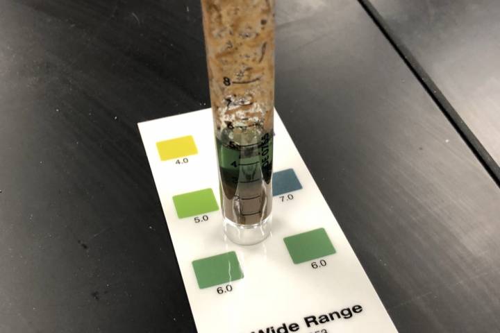 Testing soil samples and learning about plants’ needs