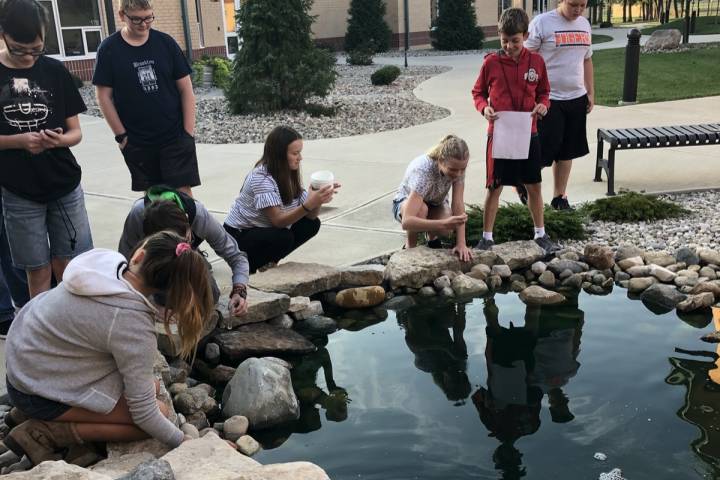 The water cycle and water quality